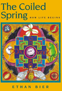 Ethan Bier - The Coiled Spring: How Life Begins