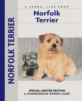 Lee - Norfolk Terrier