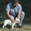 Begin with the basics of training the puppy and adult dog Learn the principles - photo 8