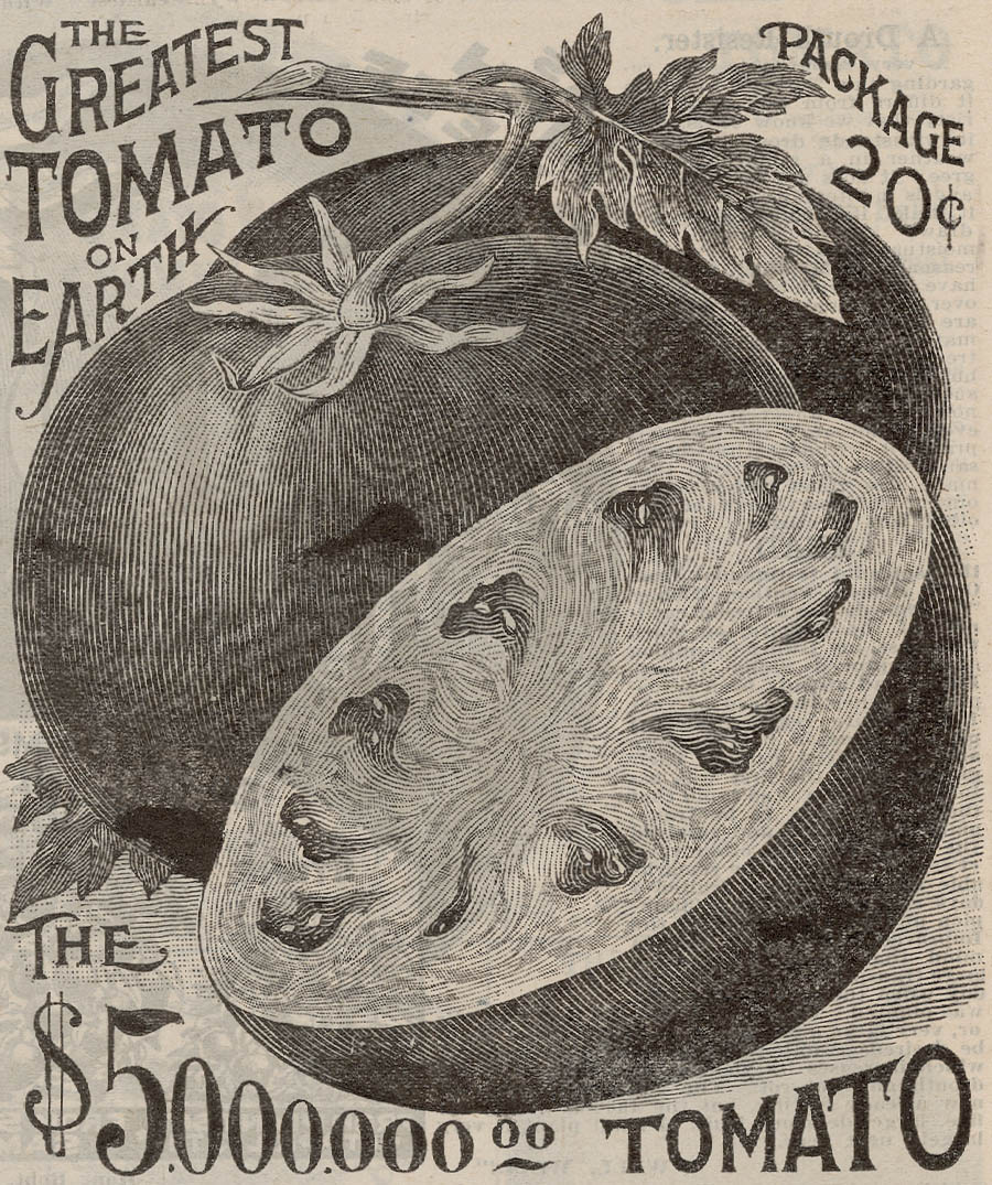 Old American seed catalogs provide a valuable glimpse into the early days of - photo 11