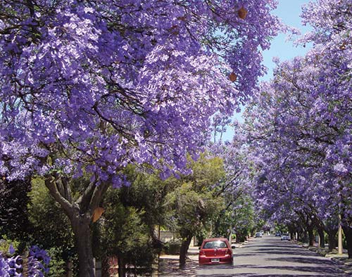 Australia A land so vast that it encompass - photo 3