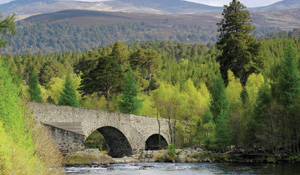 A QUAINT BRIDGE OVER THE RIVER DEE The first distillery officially documented - photo 4