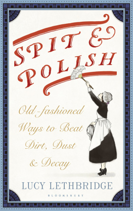 Lethbridge Spit and Polish