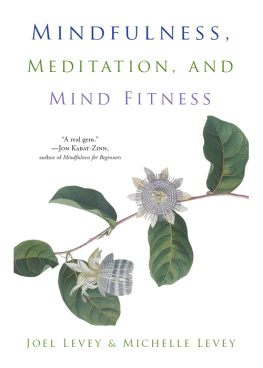 Levey Mindfulness, Meditation and Mind Fitness