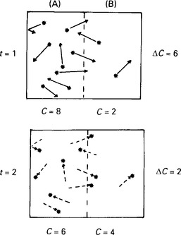 Figure 11 Sketch illustrating how random molecular steps result in a net - photo 2