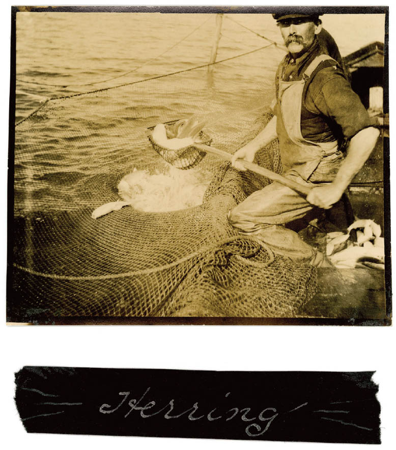 People fishing a century of photographs - photo 15