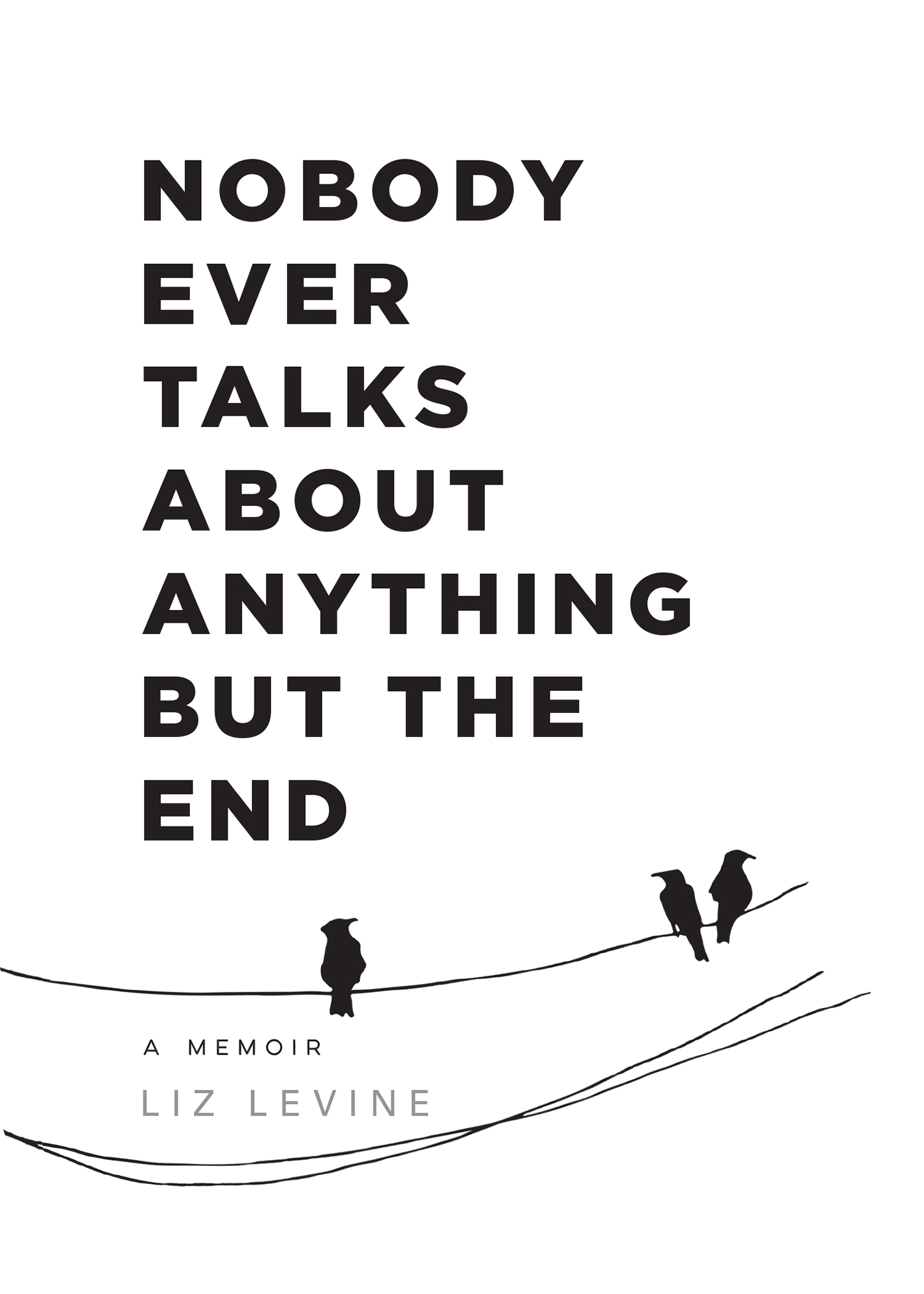 Nobody ever talks about anything but the end a memoir - image 2