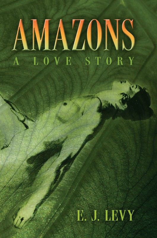 Amazons a Love Story - image 1