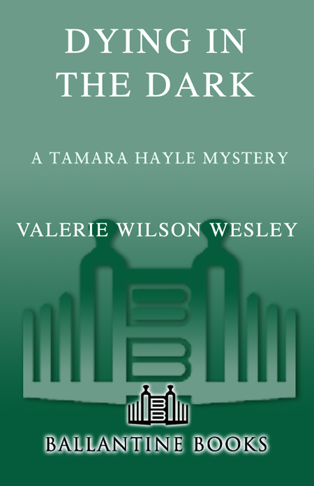 Praise for Valerie Wilson Wesley DYING in the DARK This is a well-written - photo 1