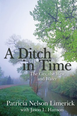 LimerickPatricia Nelson - A ditch in time: the city, the west, and water