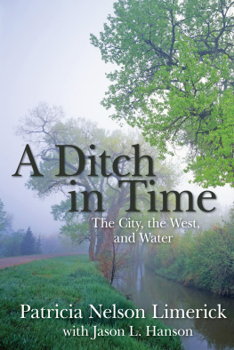 LimerickPatricia Nelson A ditch in time: the city, the west, and water