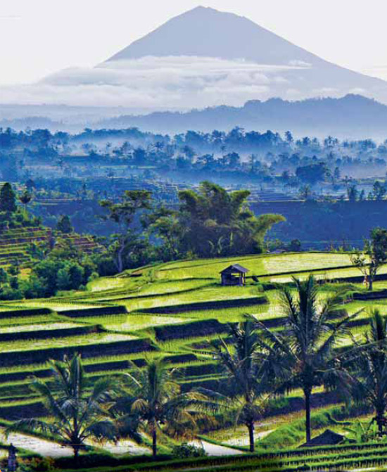 A majestic volcano rising above the clouds Prambanan an ancient temple - photo 1