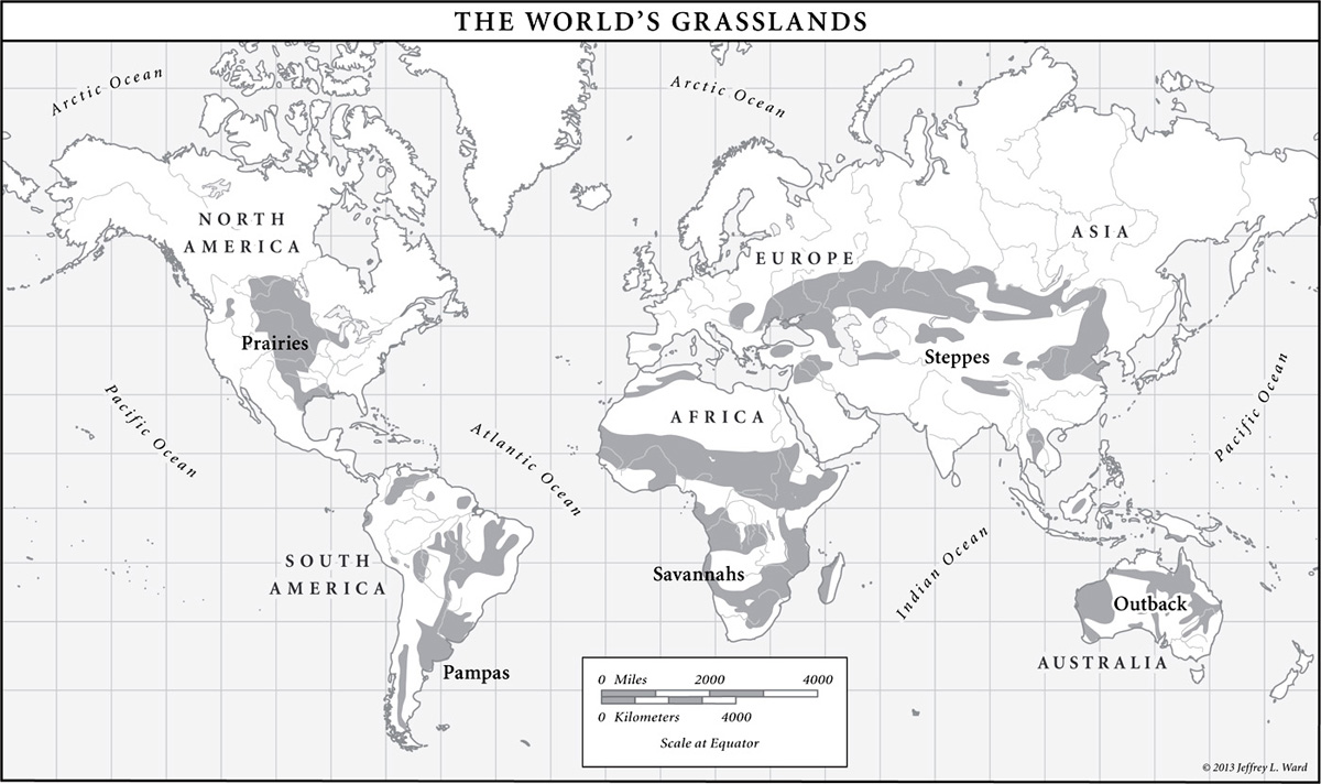 Owning the Earth the Transforming History of Land Ownership - photo 2