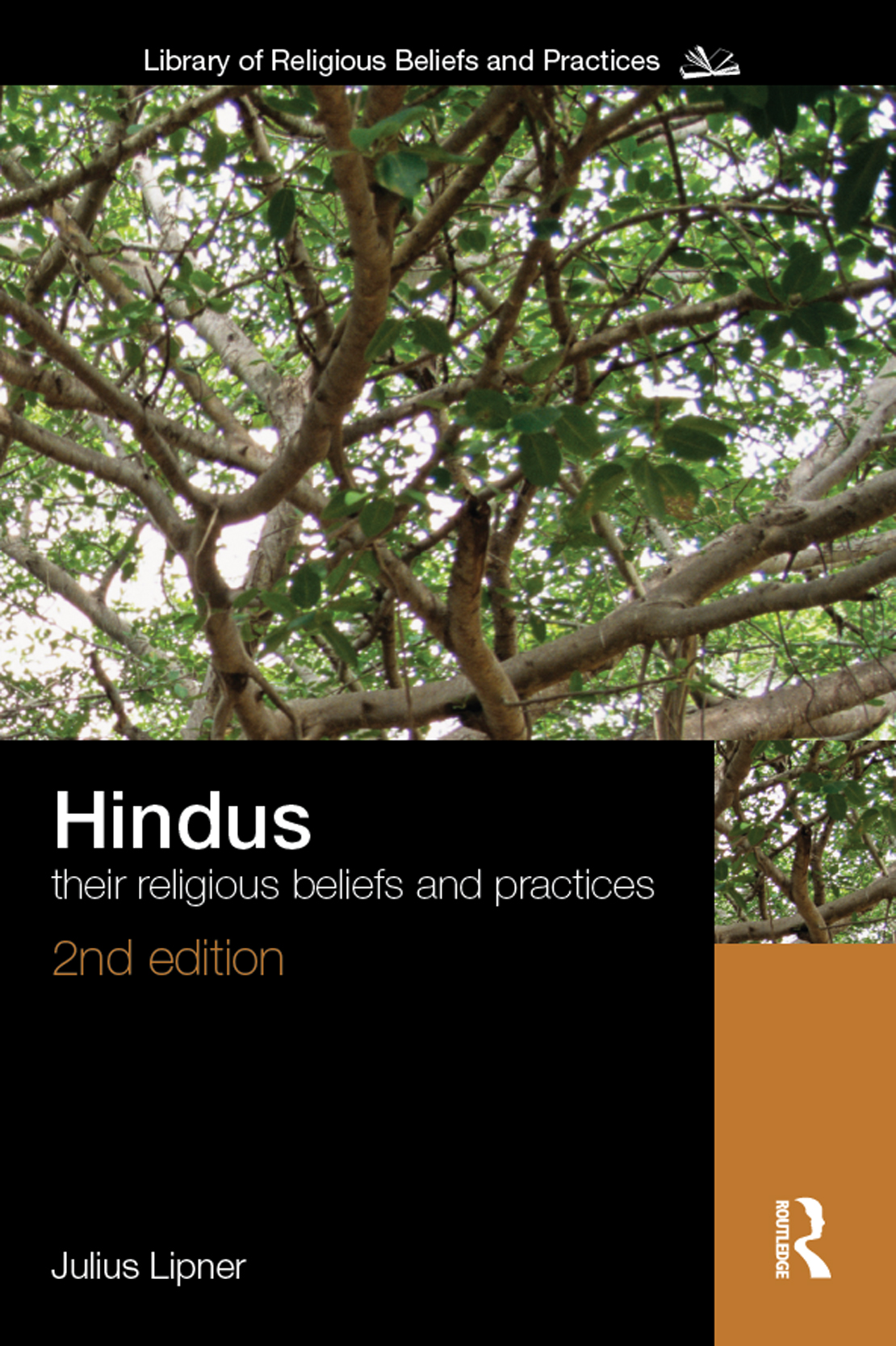 Hindus Julius Lipners Hindus is widely recognized as essential reading for - photo 1