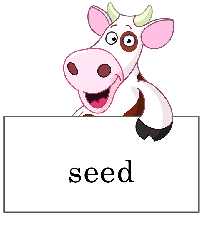 Sight Words Nouns 1 a Sight Words Book for Kindergarten Grade 1 and Grade 2 - photo 20