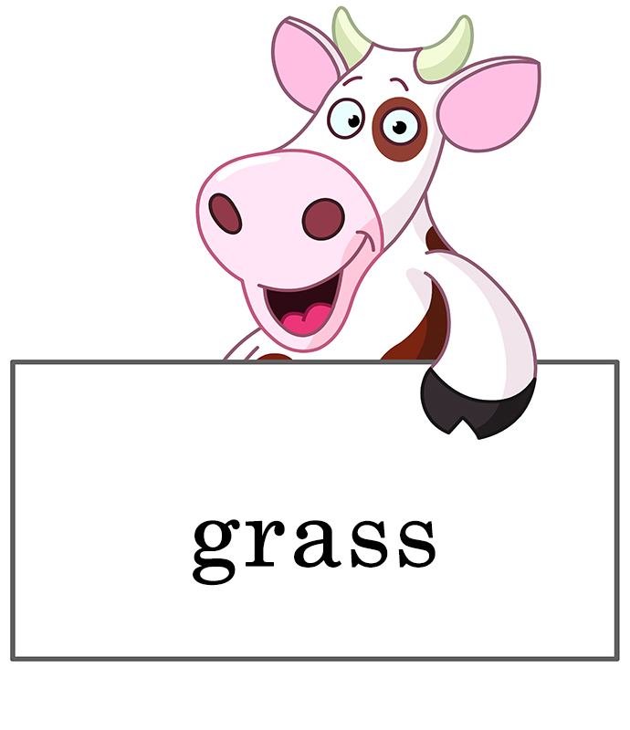 Sight Words Nouns 1 a Sight Words Book for Kindergarten Grade 1 and Grade 2 - photo 46