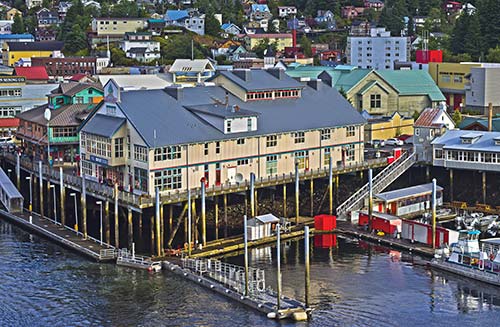 Ketchikan harbor foxglove flowers Santa Claus House North Pole - photo 12