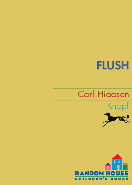 Praise for FLUSH Hiaasen scores again Fans of spy stories action - photo 1