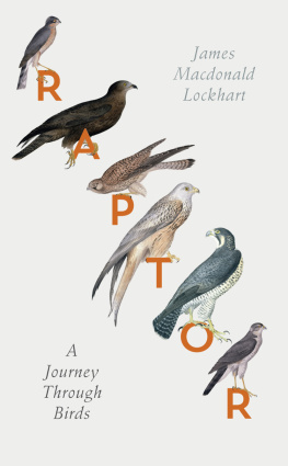 Lockhart - Raptor: a Journey through Birds