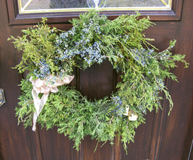 FIGURE 3 Boughs of red cedar make attractive Christmas wreaths Bluebirds come - photo 3