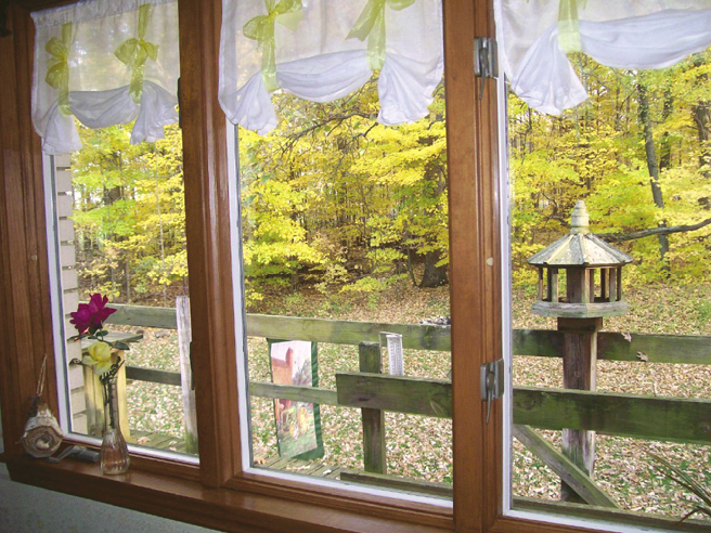 FIGURE 8 The view out our kitchen window in late October The maple trees are - photo 8