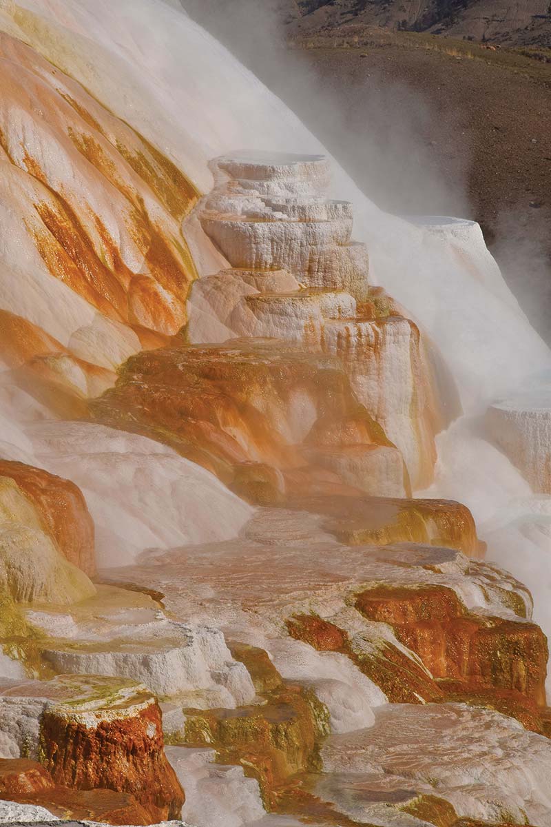 Mammoth Hot Springs Stroll the boardwalks amid these travertine terraces as - photo 22