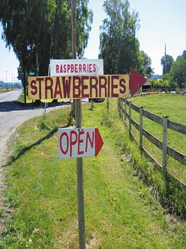 Skagit Valley in berry season What you see in that 360-degree panorama is the - photo 9