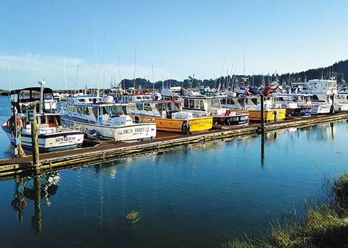 Ilwaco waterfront Of course the water is bound to find you whether you like it - photo 10