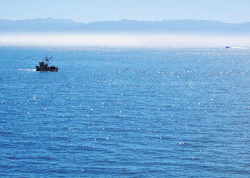 Haro Strait west of San Juan Island is populated by orca pods North - photo 15