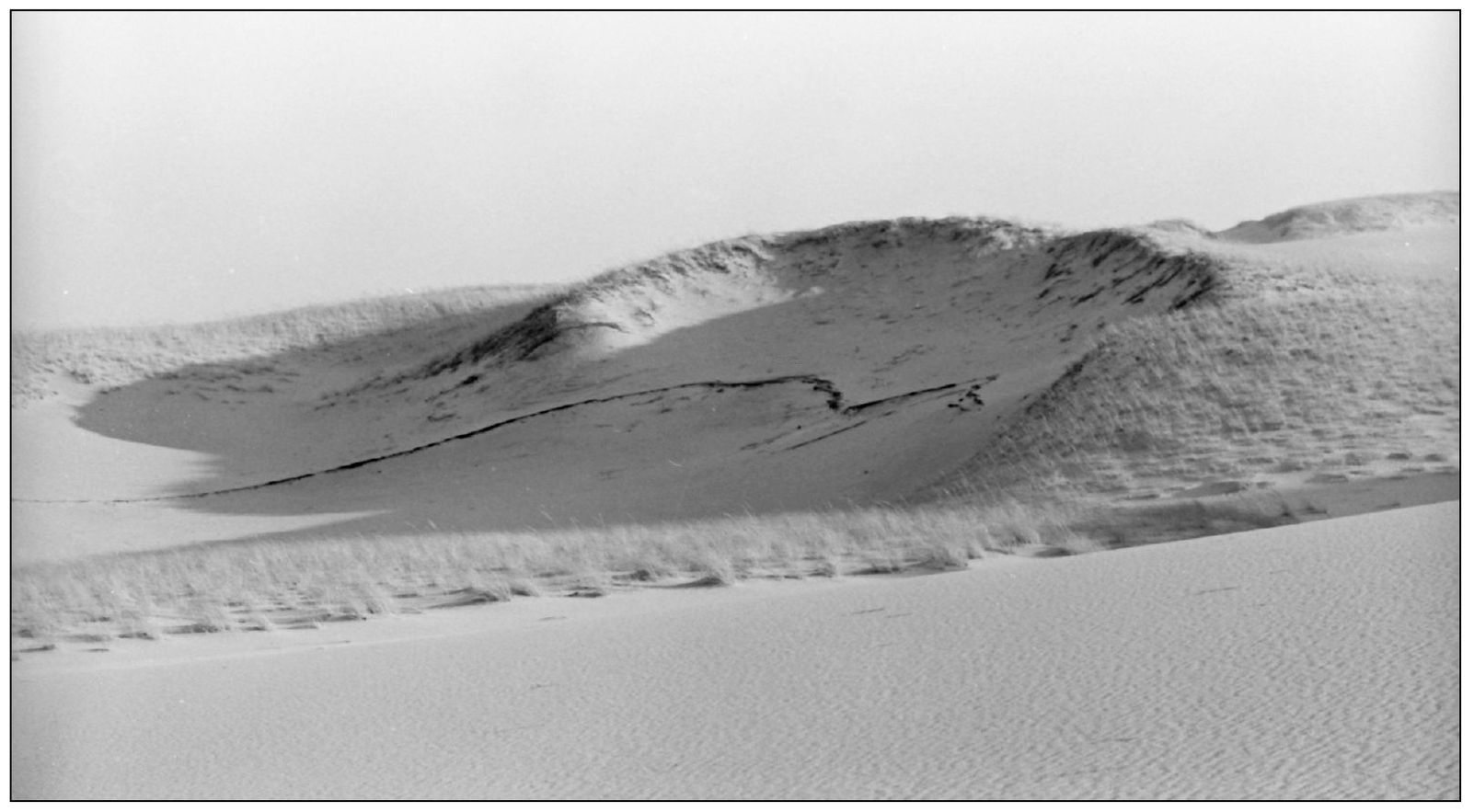 Parabolic dunes formed when the prevailing west wind blows out the middle of - photo 6