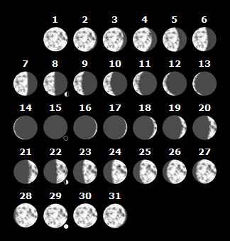 November December The 2012 Moon Almanac and the 2012 Moon Calendar - photo 10