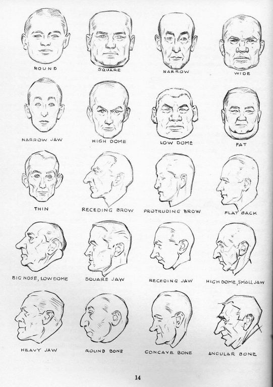 How To Draw The Head and Hands - photo 10