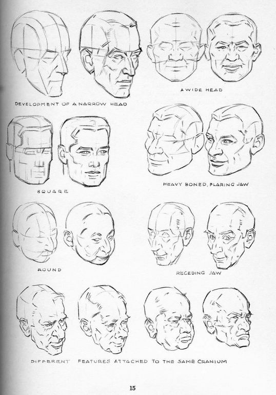 How To Draw The Head and Hands - photo 11