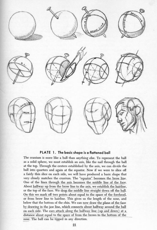 How To Draw The Head and Hands - photo 16