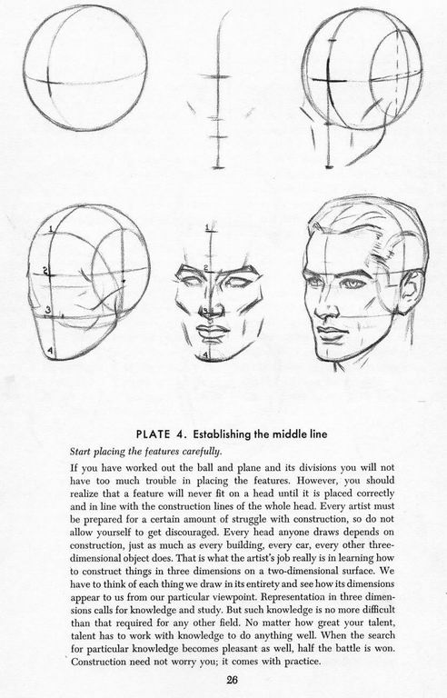 How To Draw The Head and Hands - photo 21