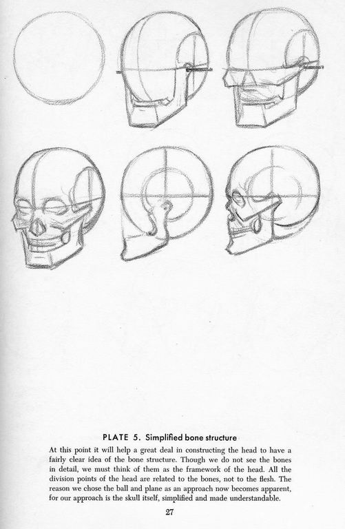 How To Draw The Head and Hands - photo 22