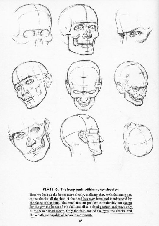 How To Draw The Head and Hands - photo 23