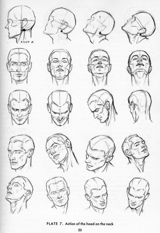 How To Draw The Head and Hands - photo 24