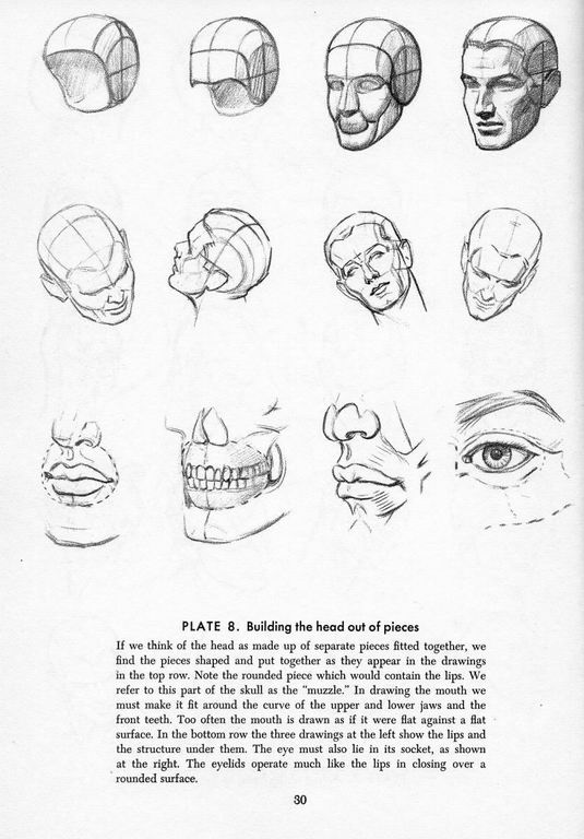 How To Draw The Head and Hands - photo 25