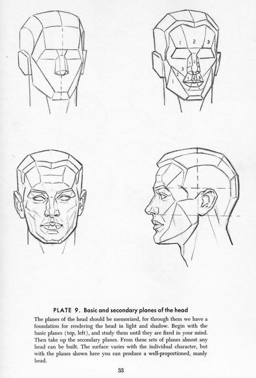 How To Draw The Head and Hands - photo 28