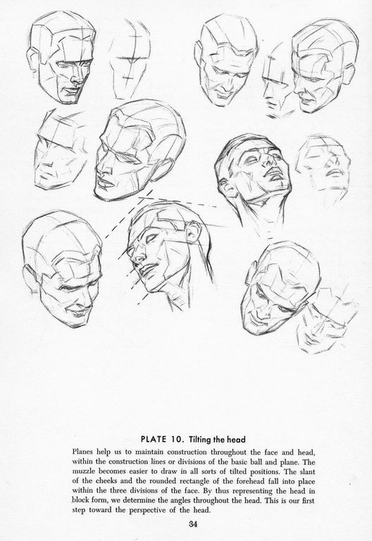 How To Draw The Head and Hands - photo 29