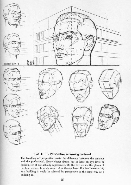 How To Draw The Head and Hands - photo 30