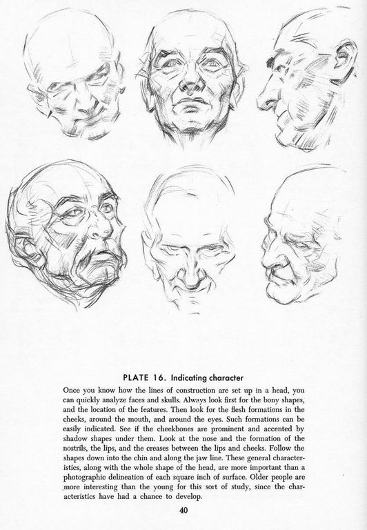 How To Draw The Head and Hands - photo 35