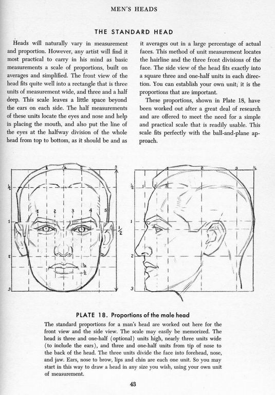 How To Draw The Head and Hands - photo 38
