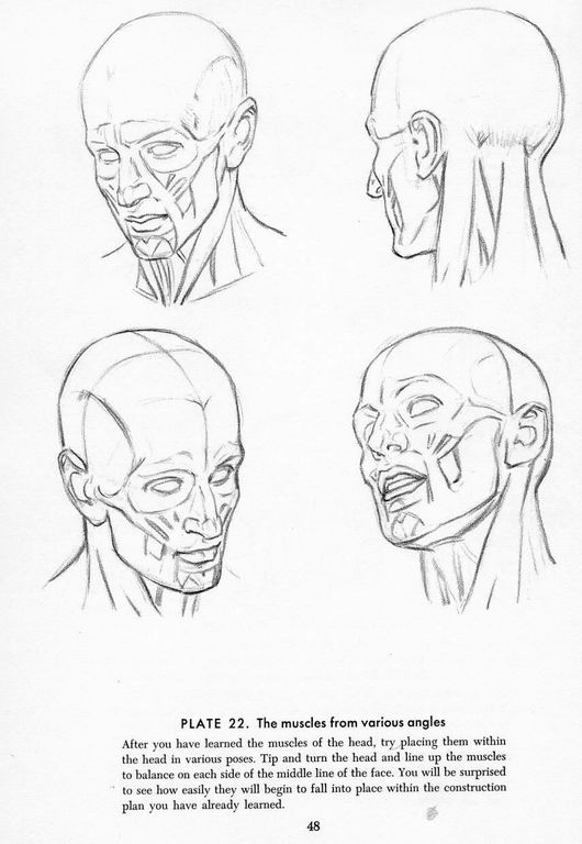 How To Draw The Head and Hands - photo 43