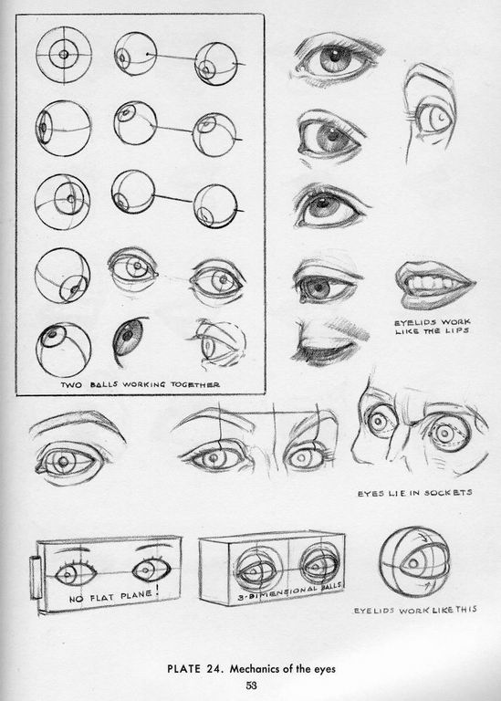 How To Draw The Head and Hands - photo 48