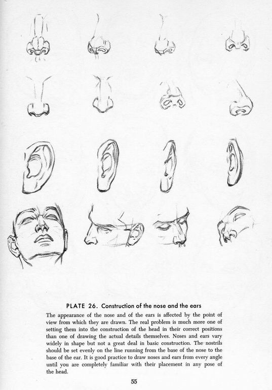 How To Draw The Head and Hands - photo 50