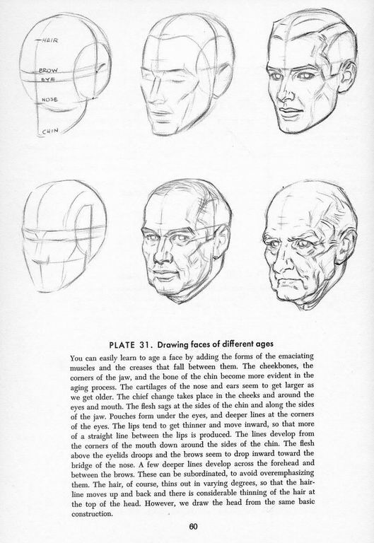 How To Draw The Head and Hands - photo 55