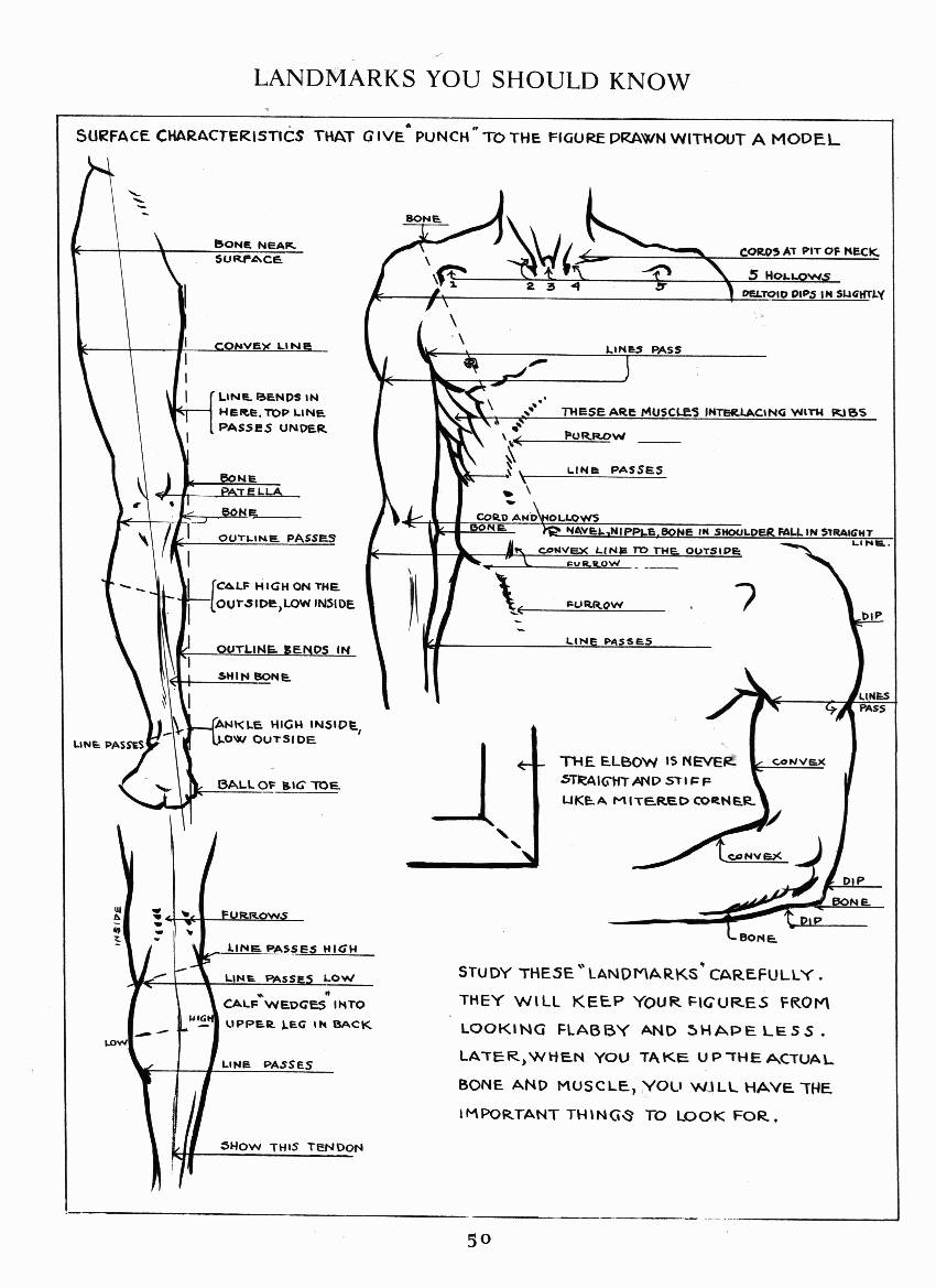 How to Drawing The Figure - photo 43