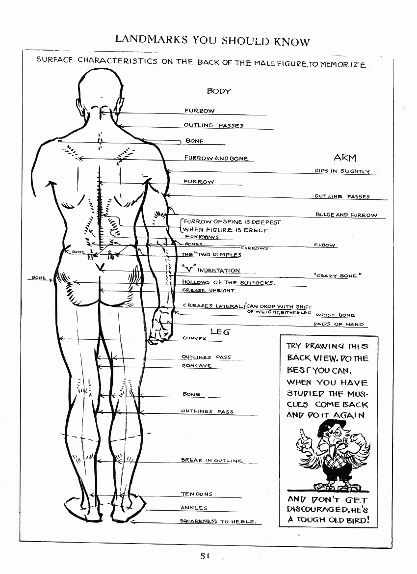 How to Drawing The Figure - photo 44